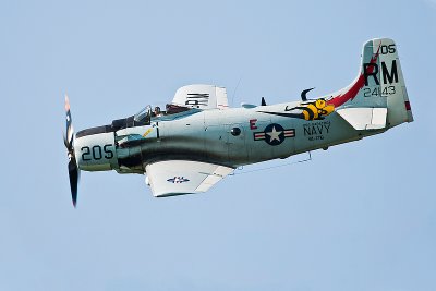 La Ferte Alais 2010 _294.jpg