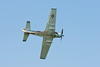 La Ferte Alais 2010 _296.JPG