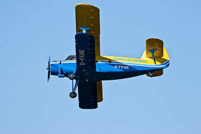 La Ferte Alais 2010 _310.JPG