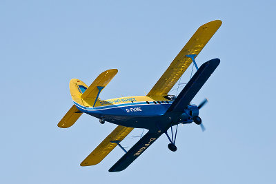 La Ferte Alais 2010 _311.JPG