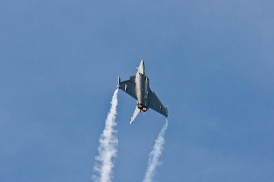 La Ferte Alais 2010 _323.JPG