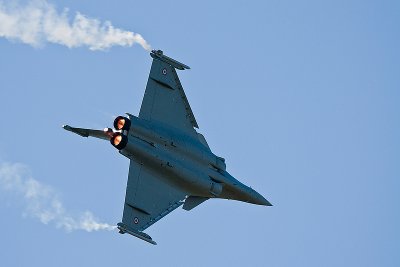 La Ferte Alais 2010 _334.JPG