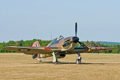 La Ferte Alais 2010 _337.JPG