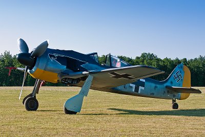 La Ferte Alais 2010 _340.JPG