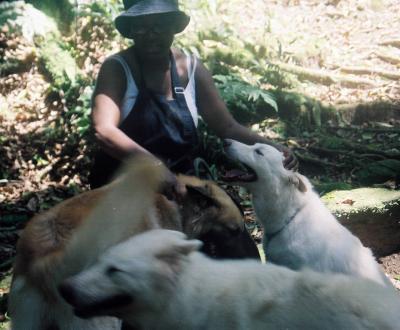 Os Cachorros na Chacara da Graa 000013.JPG