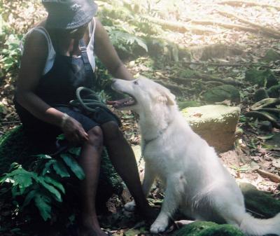Os Cachorros na Chacara da Graa 000014.JPG