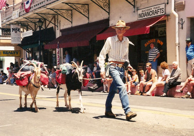 Dad Goats Misc C01.jpg