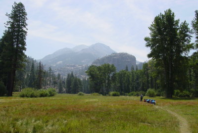 Dad 082 Goats Big Meadow.jpg