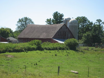 IMG_4248.JPG