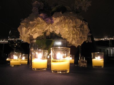 Wedding of Matt and Tiffany