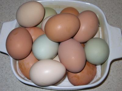 eggs.JPG