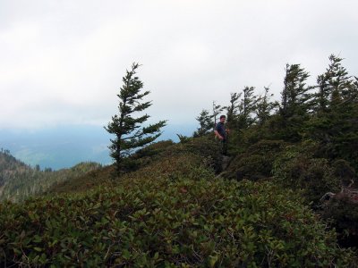 Mt LeConte0032.JPG