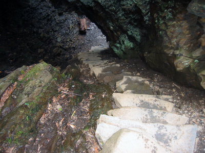 Mt LeConte0052.JPG