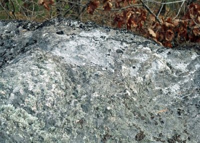 DSCF3941a.jpg