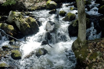 DSC_2689a.jpg