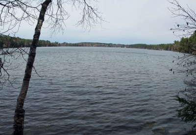 Rust Pond 2j.jpg