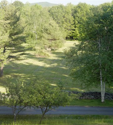 Sinclair Lane 2.jpg