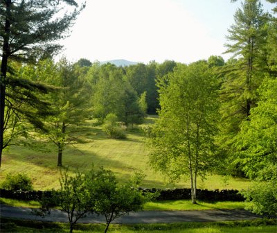 freshly mowed 2.jpg