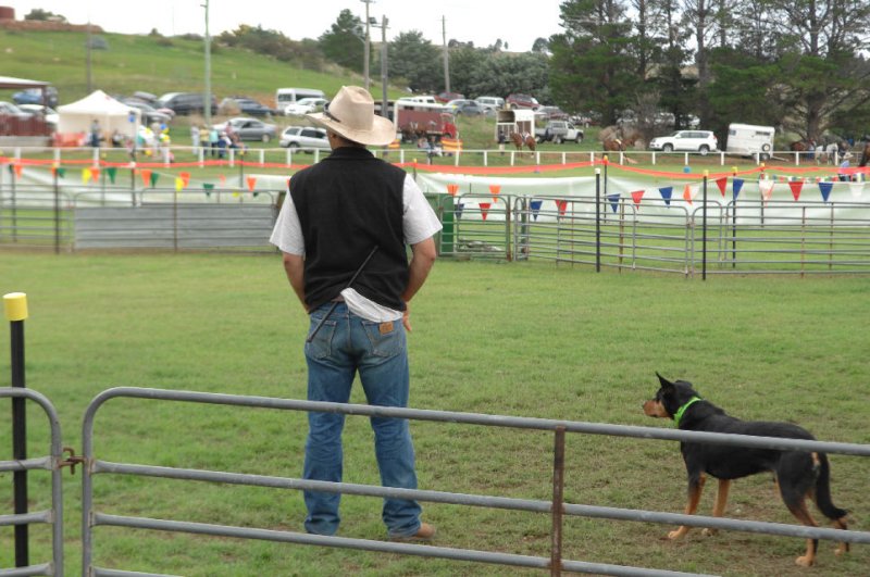 DSC_8408 Dalgety Show 2010.jpg