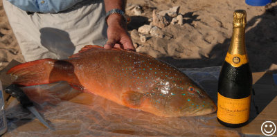 DSC_8889 Coral trout and Champagne.jpg
