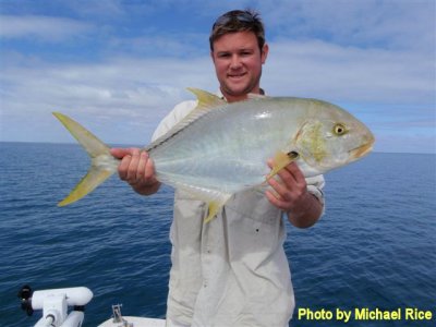 P7210228 caught near Buderim Island Golden Trevally.jpg