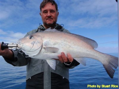 P7210235 caught near Buderim Island.jpg