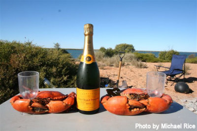 IMG_4342 Mud crab and Veuve.jpg