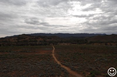 DSC_9516 Flinders Ranges.jpg