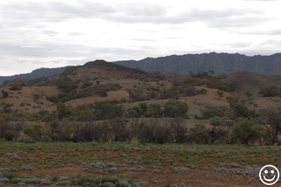 DSC_9518 Flinders Ranges.jpg