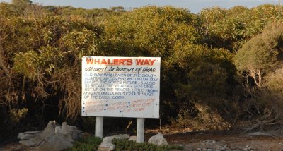 DSC_0352 Whalers Way Port Lincoln South Australia.jpg