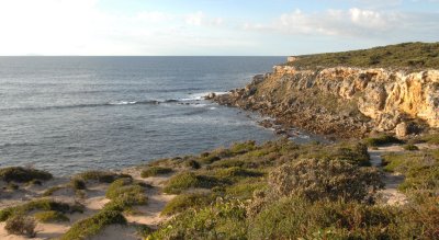 DSC_0356 Pelamis Point Whalers Way Port Lincoln South Australia.jpg