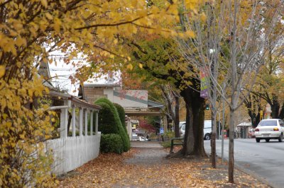 aDSC_0895 Autumn in Hahndorf.jpg