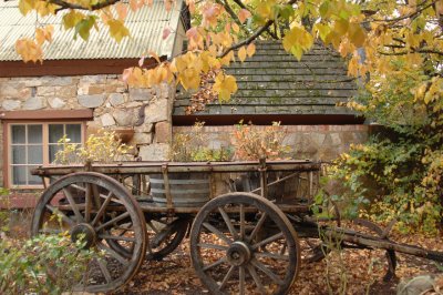 aDSC_0898 Autumn in Hahndorf.jpg