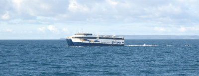 aaDSC_1082 Kangaroo Island ferry.jpg