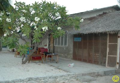 minihotel.