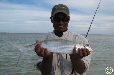 IMG_0859 Another Kiritimati bonefish.jpg