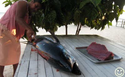 IMG_0921 1.16 metre Yellowfin Tuna - Sashimi.jpg