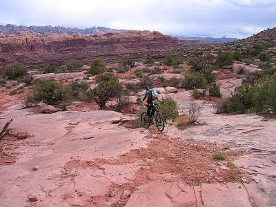 Moab - Amassa Back