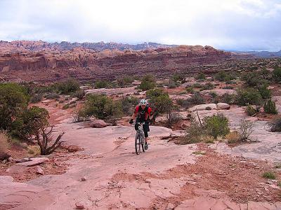 Moab - Amassa Back