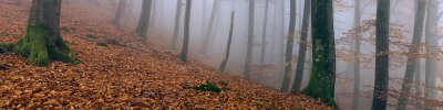 g3/80/397780/3/89313643.u7el1OTb.jpg