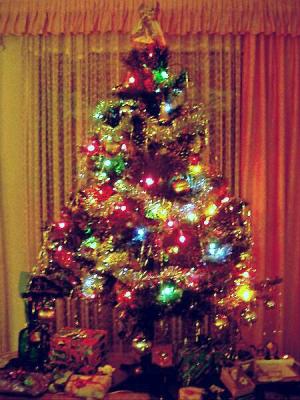 This Year's Tree.jpg