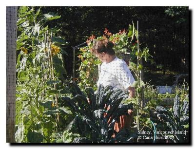 Michelle in her garden 2004.jpg