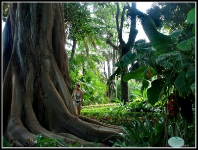Tropical Garden.jpg