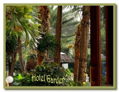 The Hotel Garden.jpg