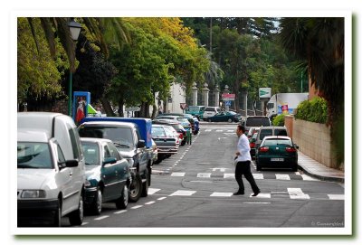 Street 2.jpg