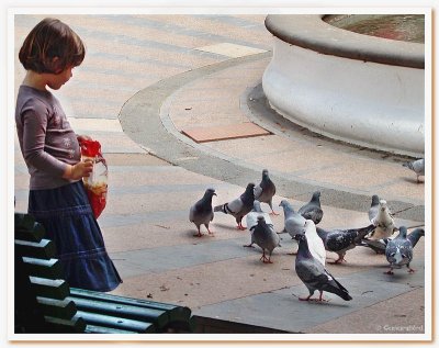 Pigeons in the Plaza.jpg