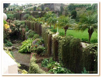 Garden in the Barranco.jpg