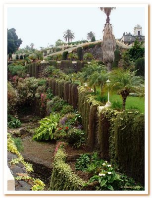 Ravine Hanging Garden.jpg