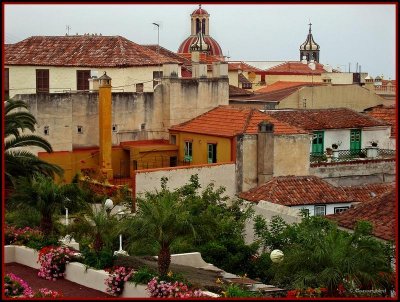 Looking Down on La Orotava.jpg