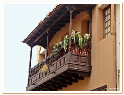 Canary Balcony with Easter Palms.jpg